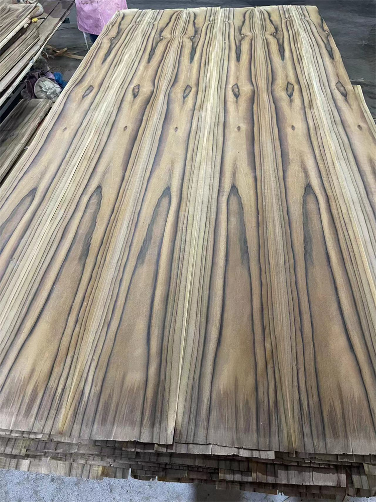 SOUTH AMERICA TEAK CC