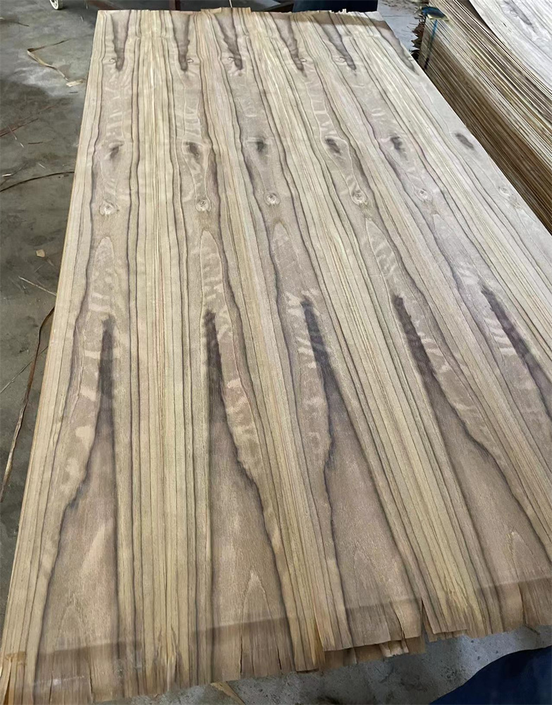 SOUTH AMERICA TEAK CC